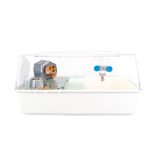 Ferplast Mini Duna Hamster - Cage pour Hamsters et Souris avec Accessoires | 55 x 39 x 27 cm